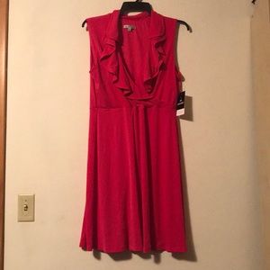 New Pink Size 14 Sandra Darren Dress